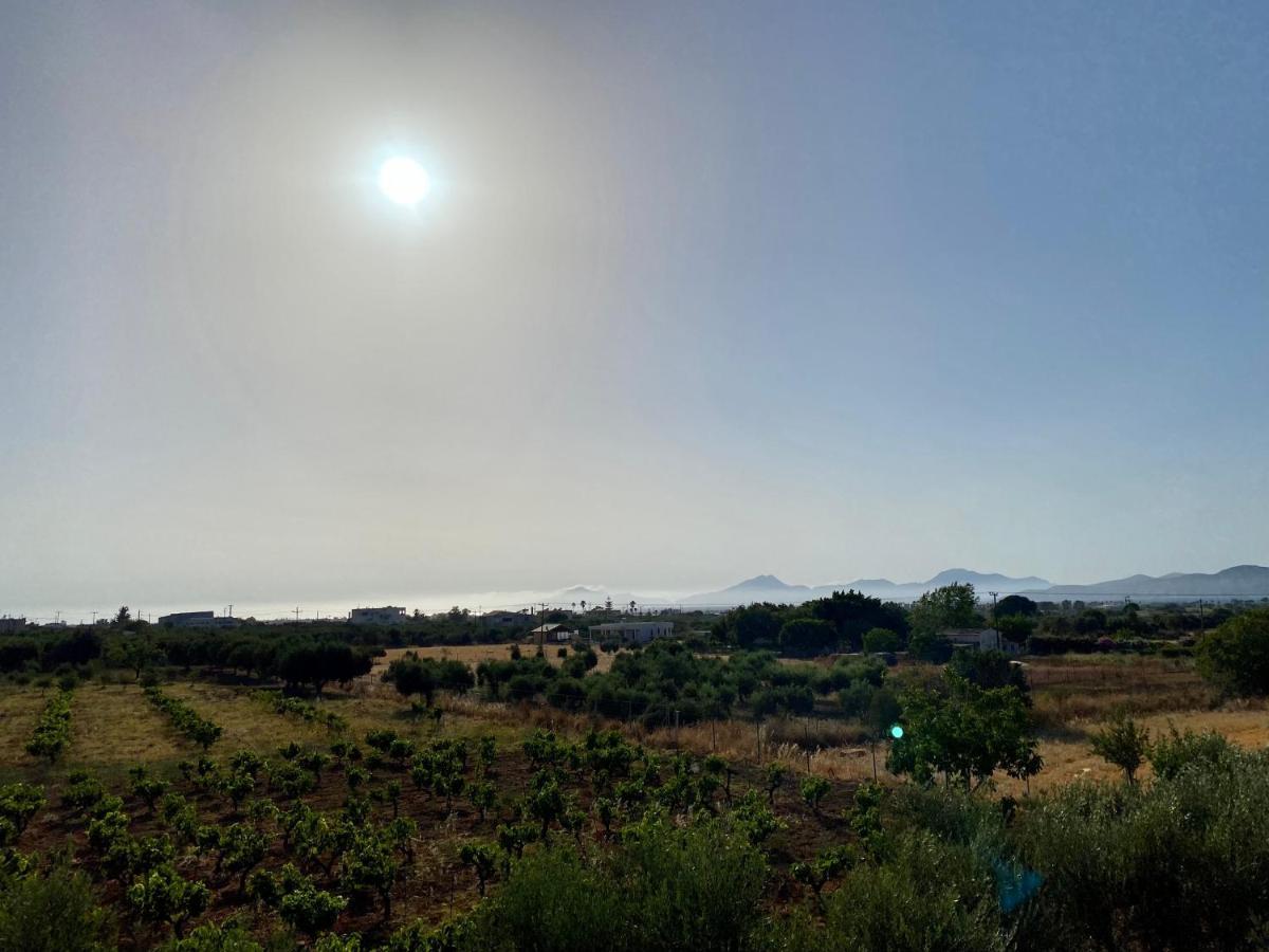 Sunset View Apartment, In The Nature, At Zipari "6" Zipárion Dış mekan fotoğraf